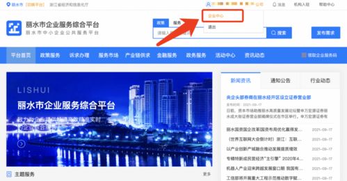 麗水企業 2021年中小微企業服務券申領正式啟動，助力信息技術咨詢服務發展